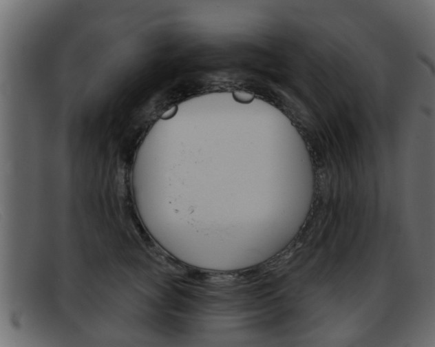 X0000093360757200710111308