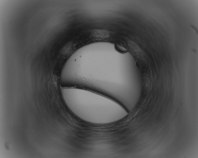X0000093360758200710111308