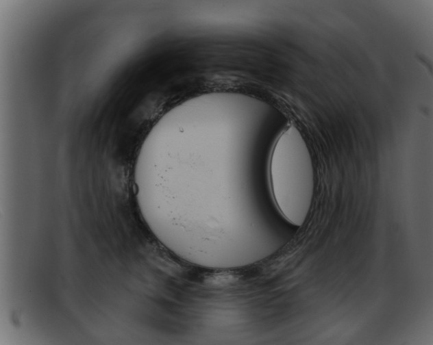 X0000093360759200710111308