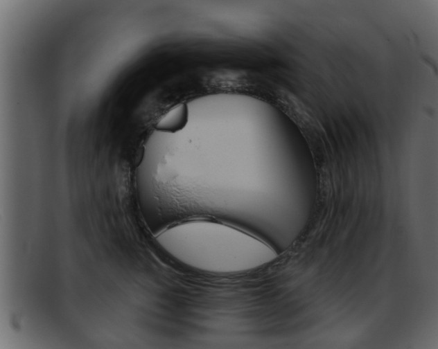 X0000093360760200710111308