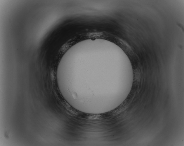 X0000093360761200710111308