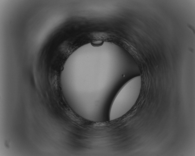 X0000093360762200710111308