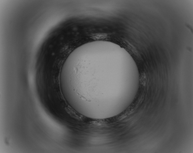 X0000093360763200710111308