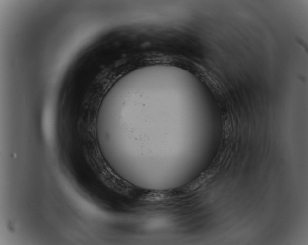X0000093360764200710111308