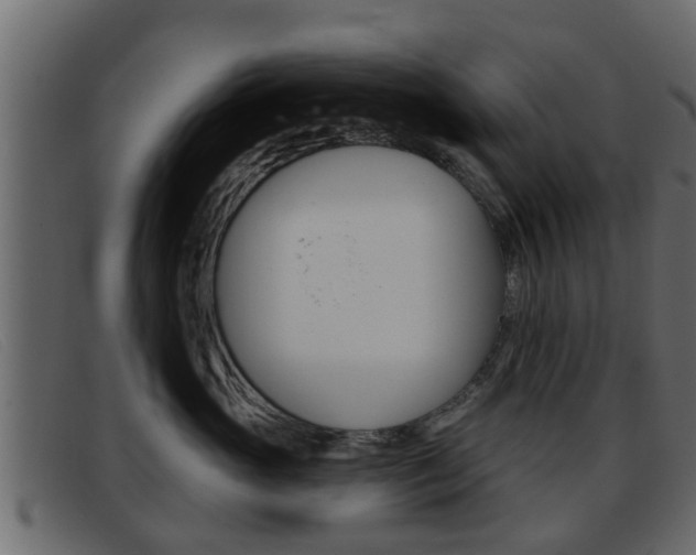X0000093360765200710111308