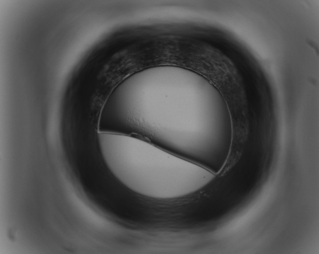 X0000093360766200710111308