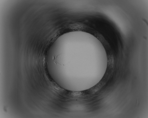 X0000093360767200710111308
