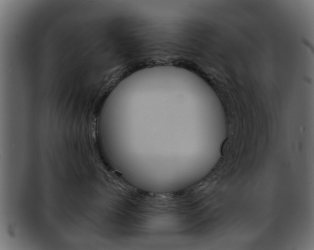 X0000093360768200710111308