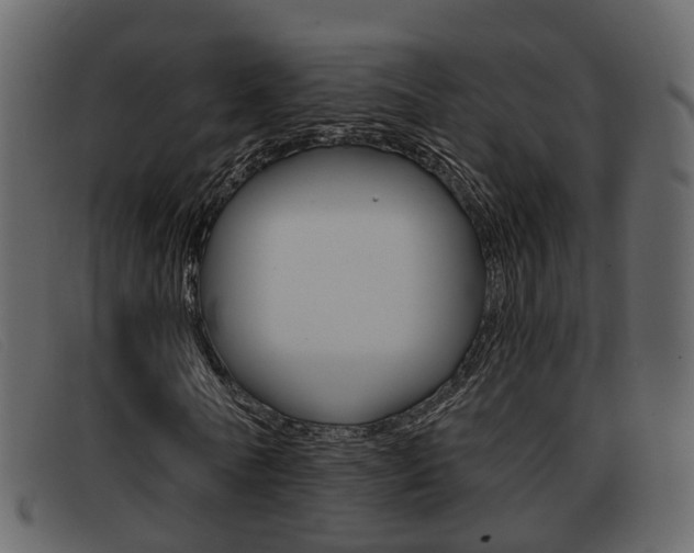 X0000093360770200710111308