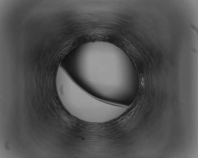 X0000093360771200710111308