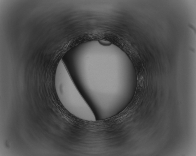 X0000093360772200710111308