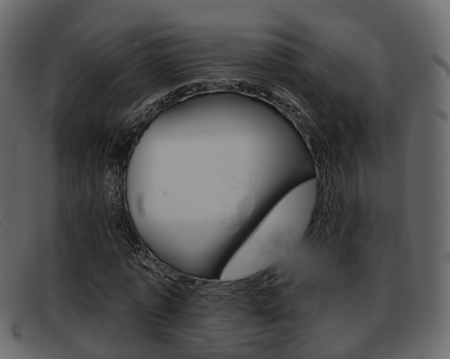 X0000093360773200710111308