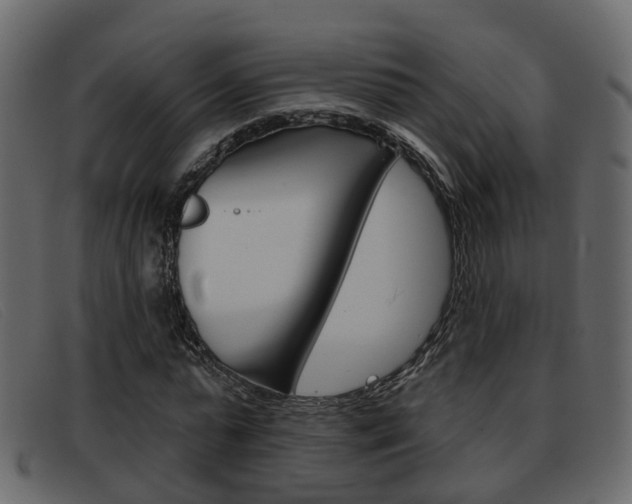 X0000093360775200710111308
