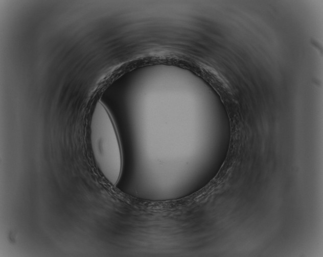 X0000093360776200710111308