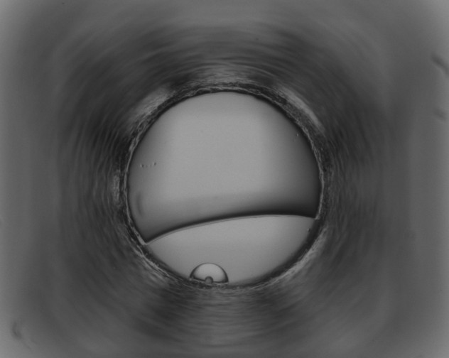 X0000093360777200710111308