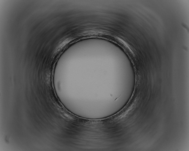 X0000093360778200710111308