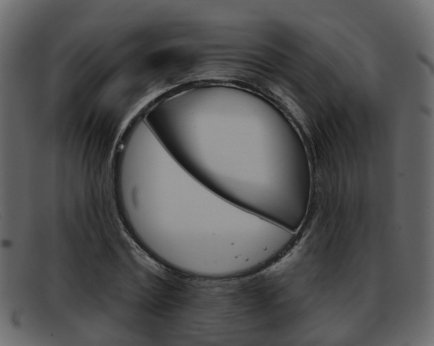 X0000093360779200710111308