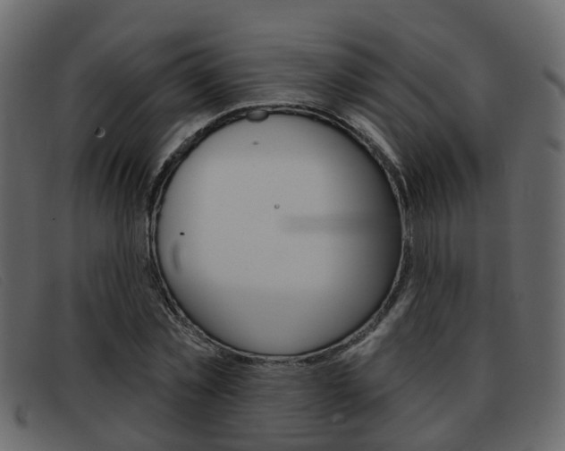 X0000093360781200710111308