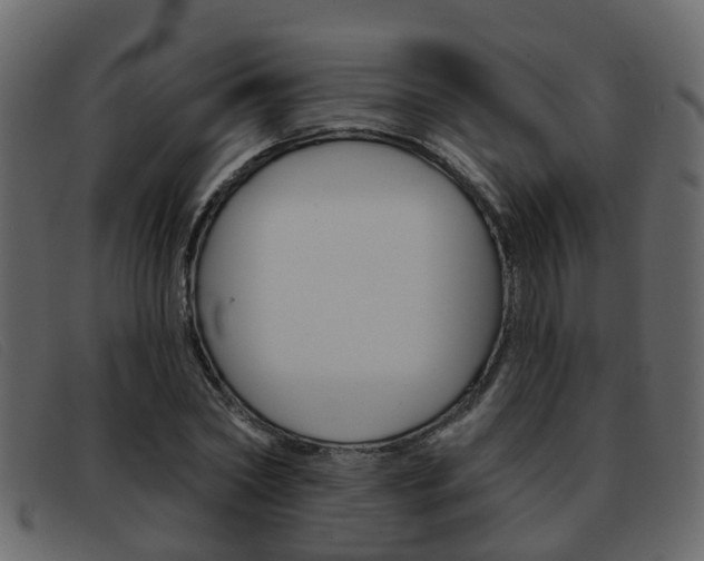 X0000093360782200710111308