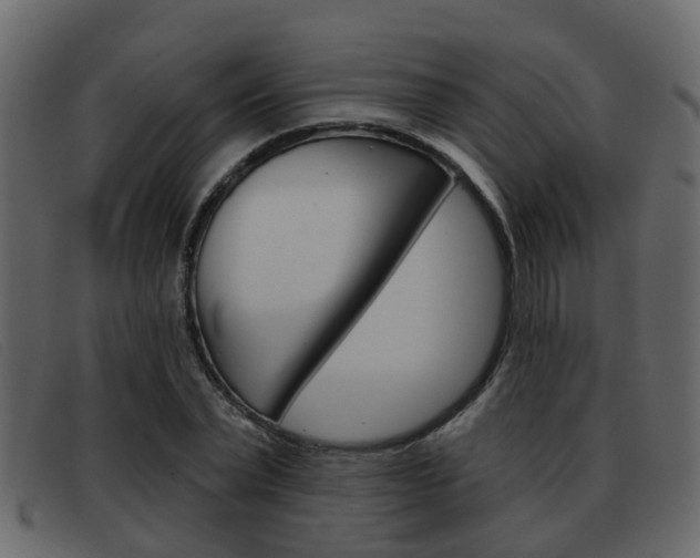 X0000093360783200710111308