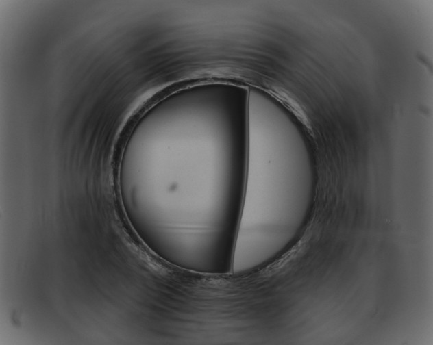X0000093360784200710111308