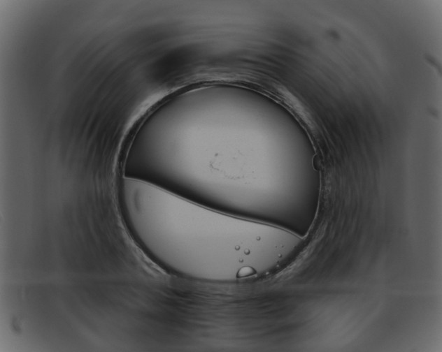 X0000093360787200710111308