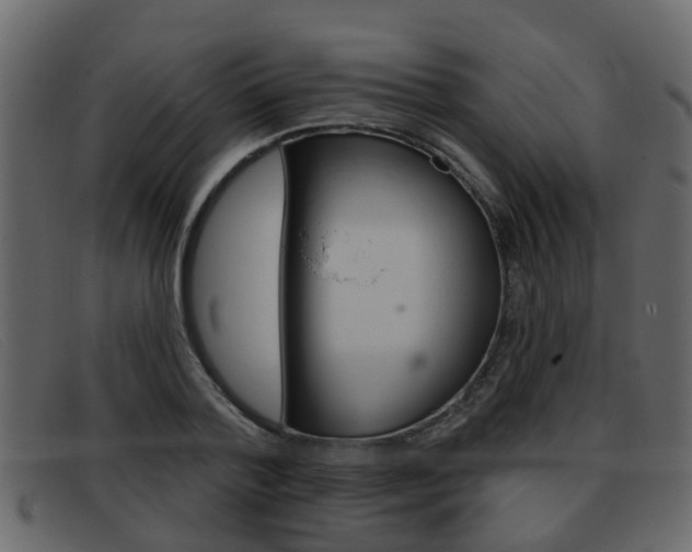 X0000093360788200710111307