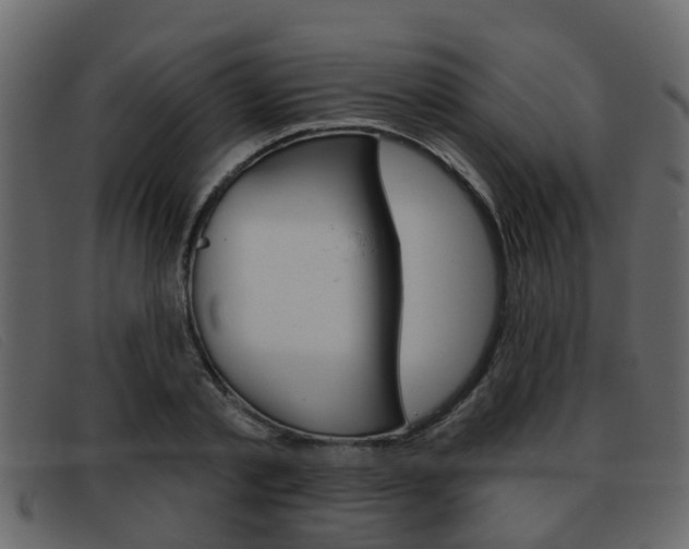 X0000093360789200710111307