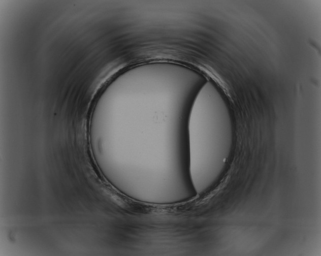 X0000093360790200710111307
