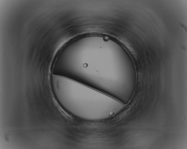 X0000093360791200710111307