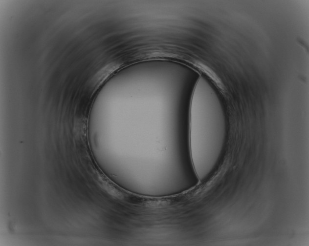 X0000093360793200710111307