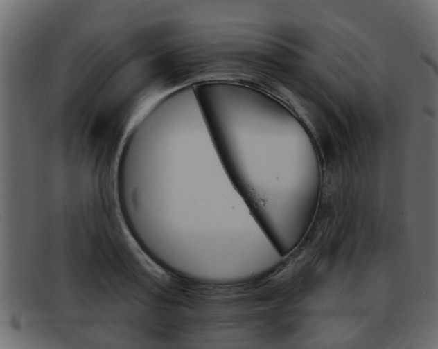 X0000093360795200710111307