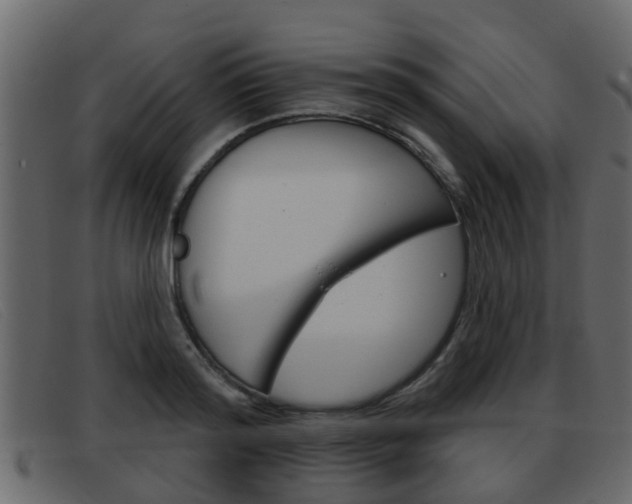 X0000093360796200710111307