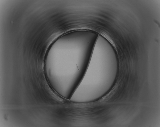 X0000093360797200710111307