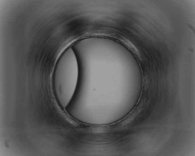 X0000093360798200710111307