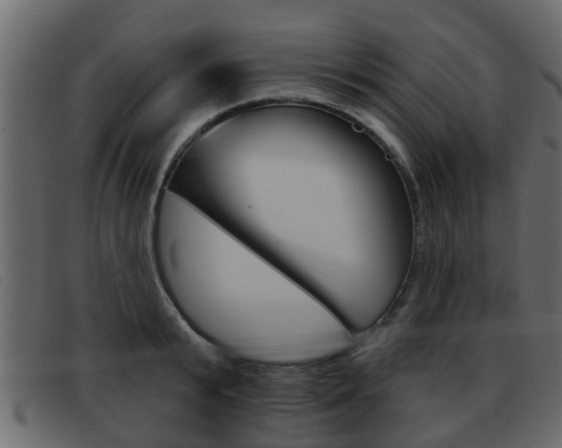 X0000093360799200710111307