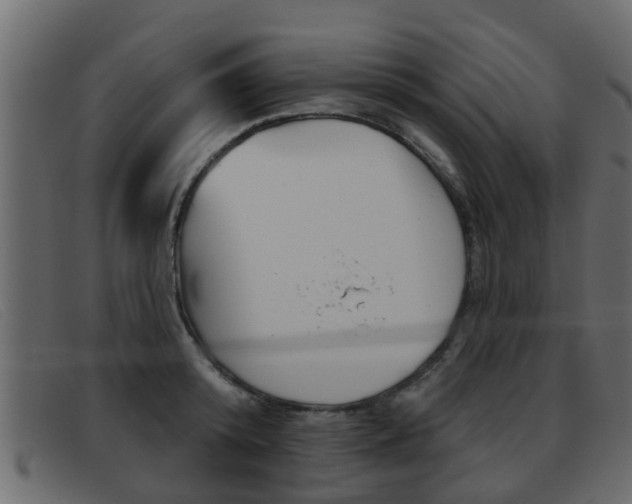 X0000093360800200710111307