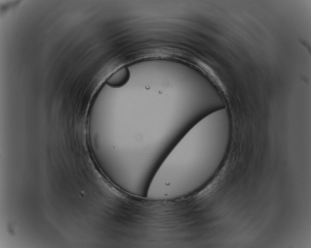 X0000093360802200710111307