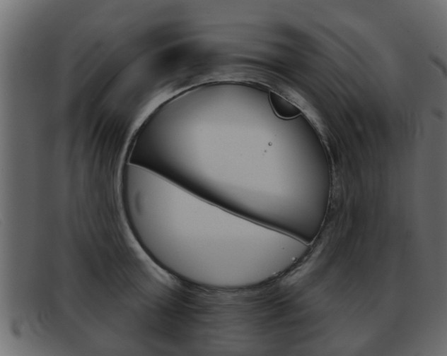 X0000093360803200710111307