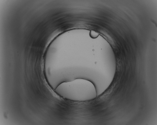 X0000093360804200710111307