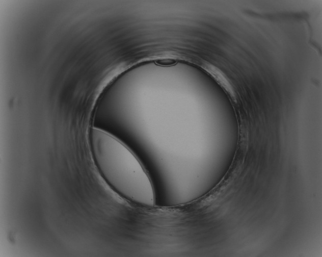 X0000093360805200710111307