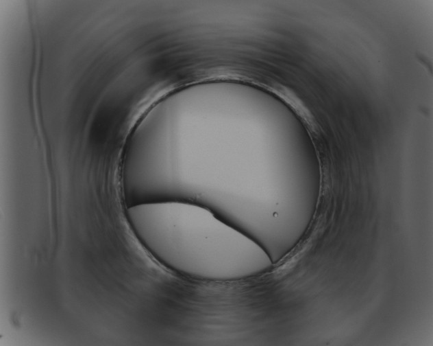 X0000093360806200710111307