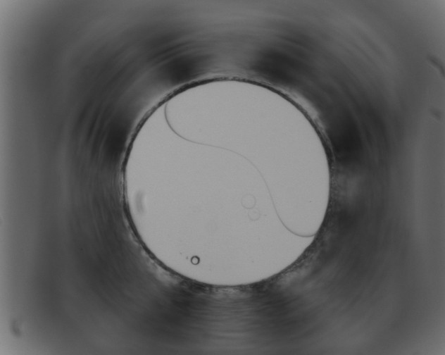 X0000093360807200710111307
