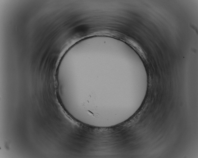 X0000093360808200710111307