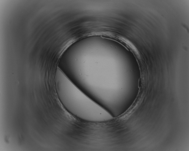 X0000093360809200710111307