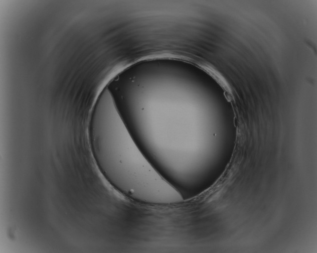 X0000093360813200710111307