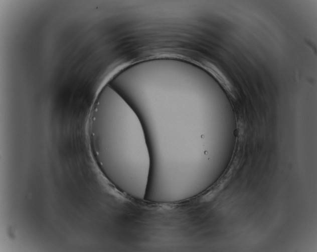 X0000093360814200710111307