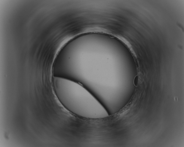 X0000093360815200710111307