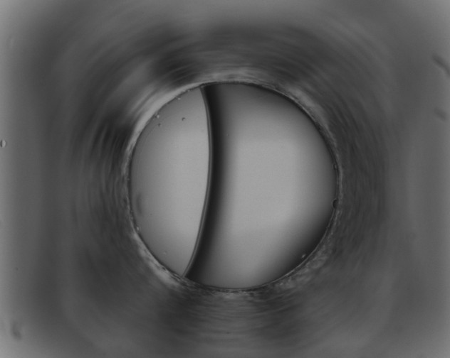 X0000093360816200710111307