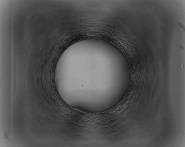 X0000093360817200710111307